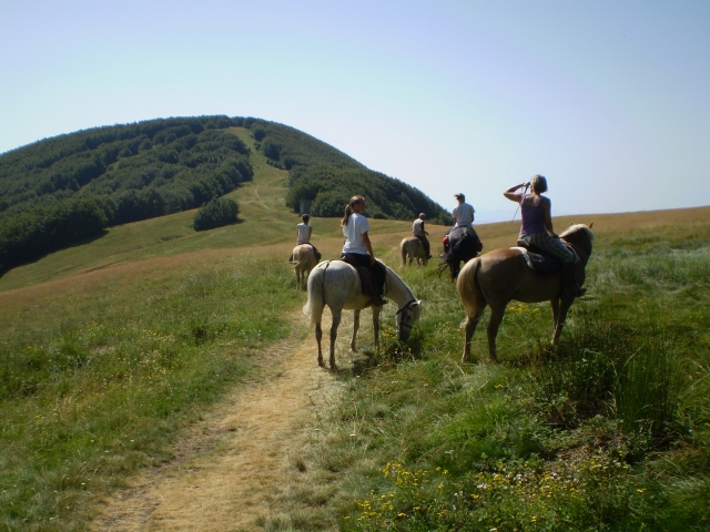 Paseo a caballo de 7 días 