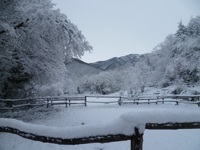  Equitación en invierno 