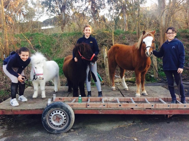  Nuestros ponis con sus jinetes 