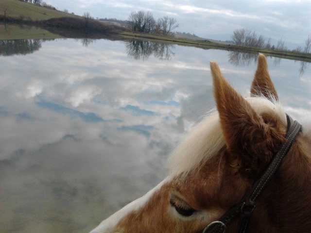 Nuestro lago 