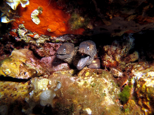  Explorando los fondos marinos 