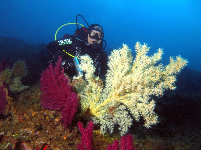  Duranle una inmersión 