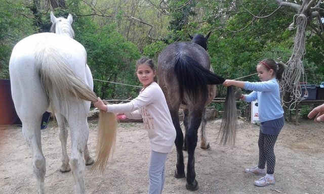  Es hora de un buen peinado 