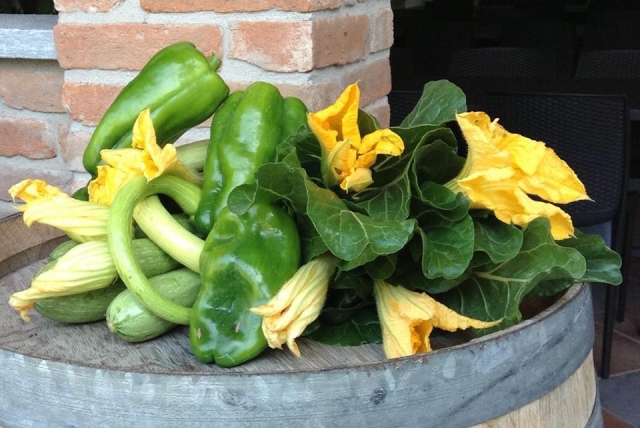  Verduras de cosecha propia 