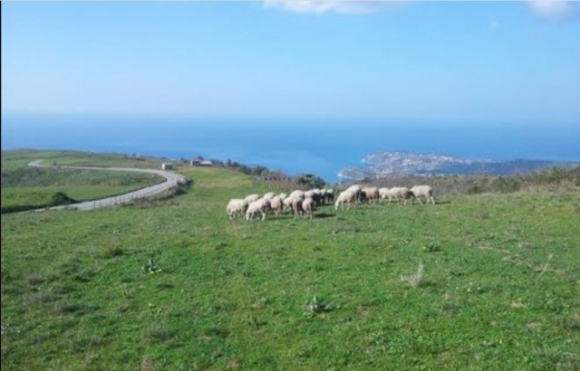  Trekking en plena naturaleza 