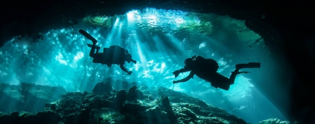  le perderías algo como esto 