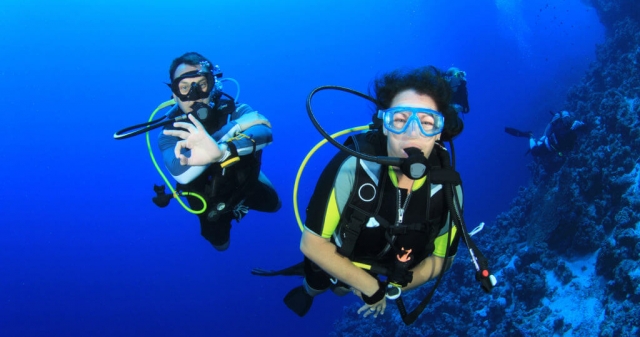  venga y diviértele? 