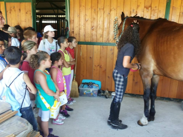  Lección didáctica para escuelas primarias 