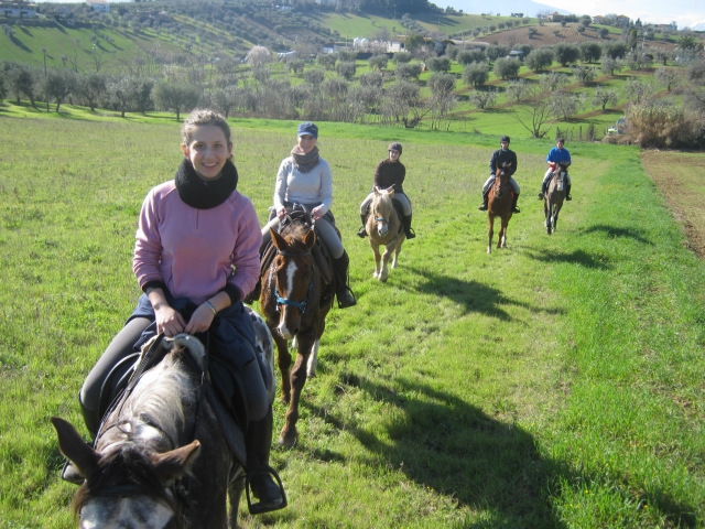 Caballos en la naturaleza 