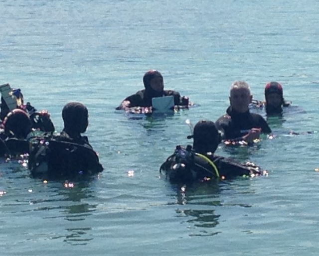  cursos de instructor 