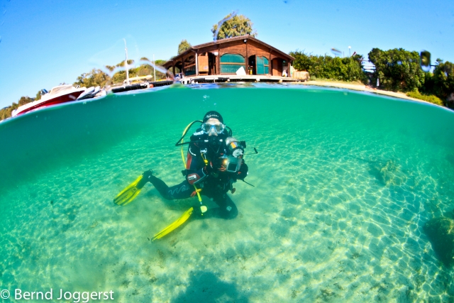  escuela y cursos de buceo 