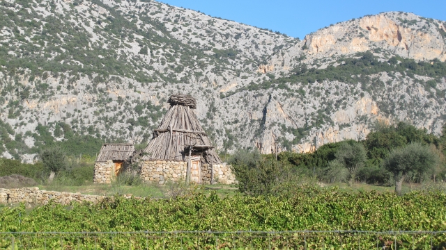  viajes por el interior 