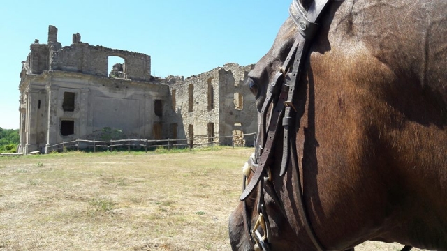  Las ruinas visitadas 