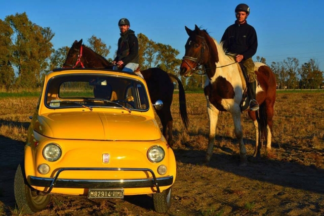  Encuentra al intruso 