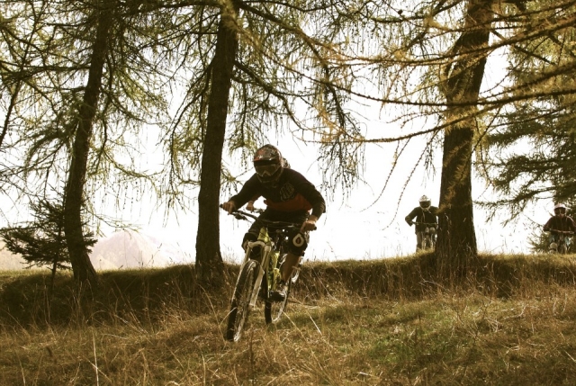 Velocidad y adrenalina 