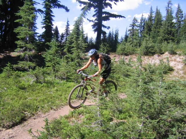  En el bosque con la Mountain Bike 