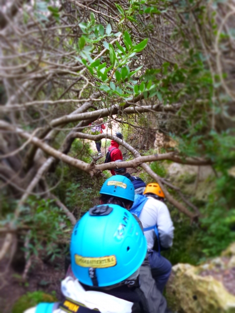 Excursión a Gravina