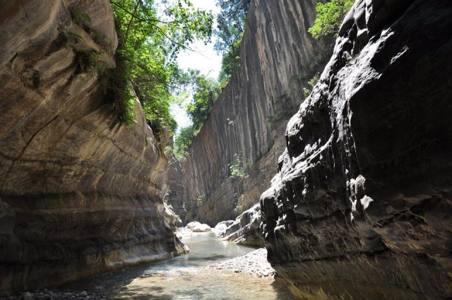 El cañón