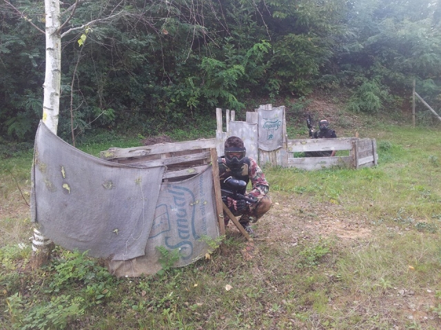  nuestro campo en el bosque 