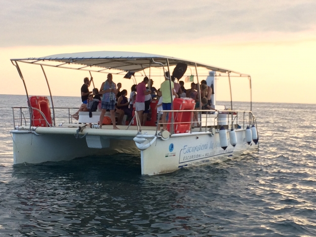  catamarán 