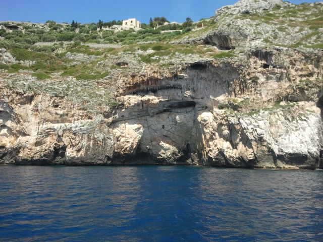  leuca mannule 