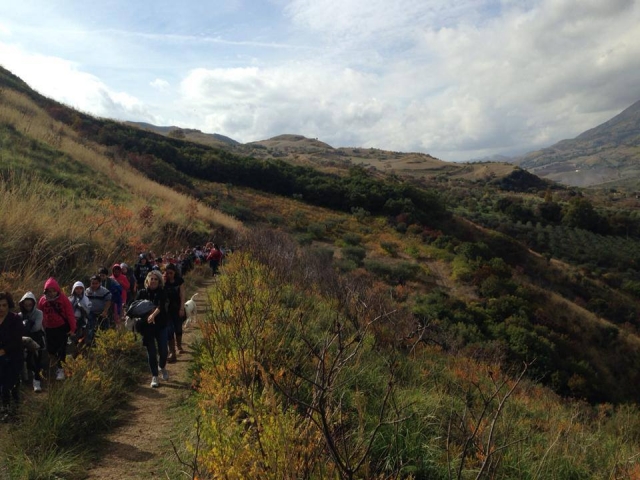 Campamentos de verano y granja educativa