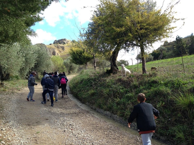 Jornadas del aceile y actividades educativa y culturales