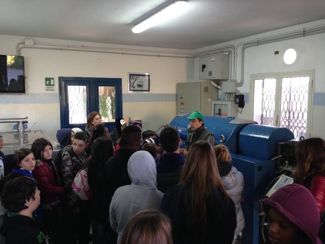 procesamiento de aceile