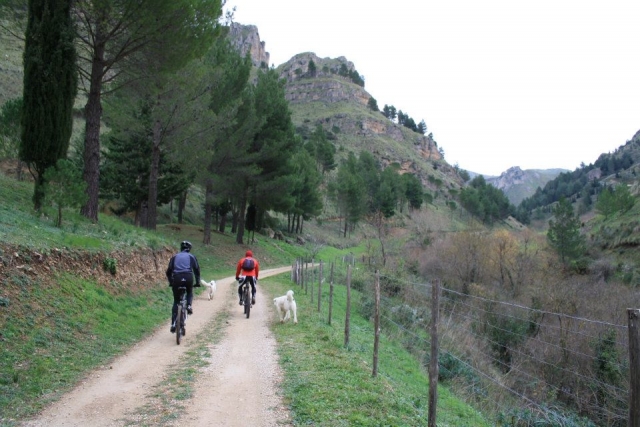 nosotros, la bici y los perros