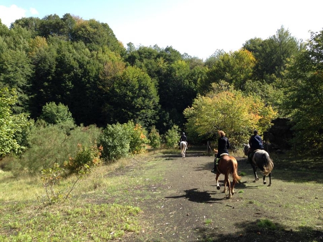 Caminos inmersos en la naturaleza