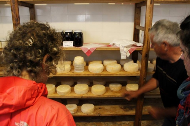  parada para deagradar los productos típicos 