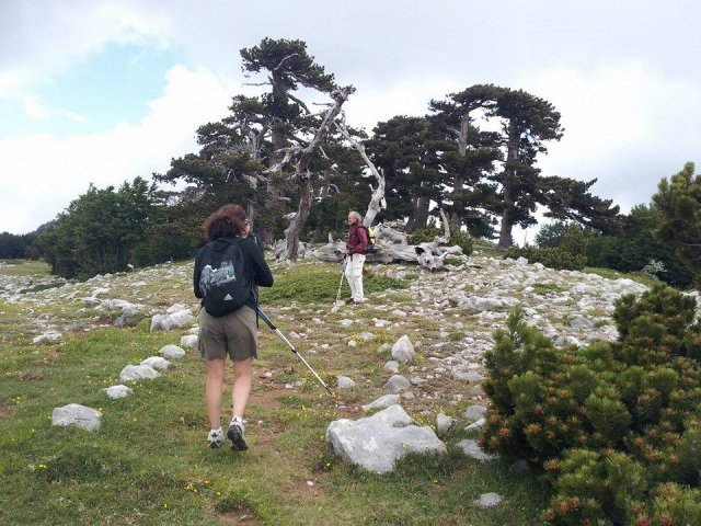  Trekking en el Parque Nacional Pollino 