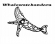 Whalewatchandora 