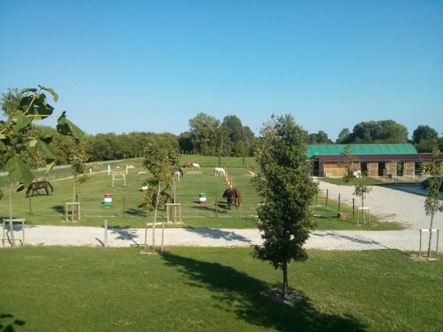  Uno de los campos 