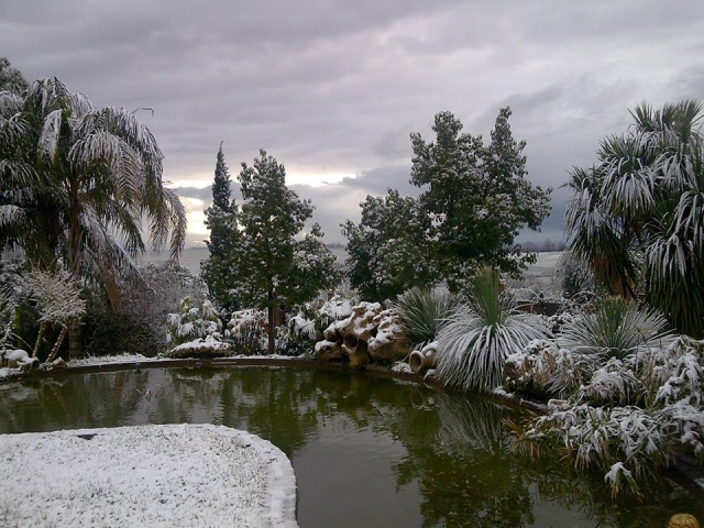  en invierno 
