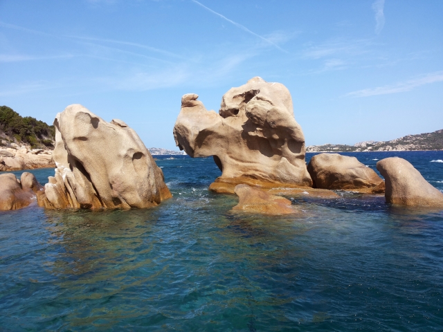  burbujas azules - cardumen de plutón 