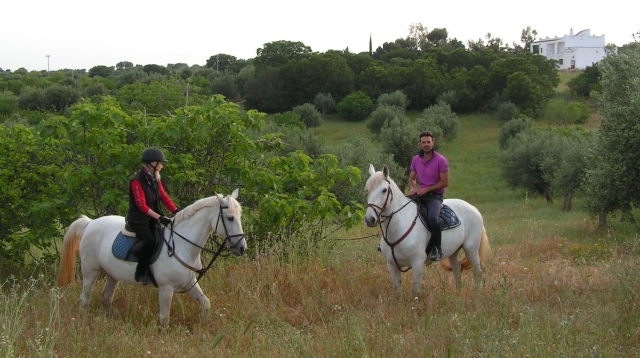  ¡Un paseo por la naturaleza de Apulia! :) 