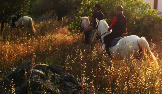  Cabalgamos en lo mejor de la naturaleza del territorio. ¿A qué esperas para unirle? 