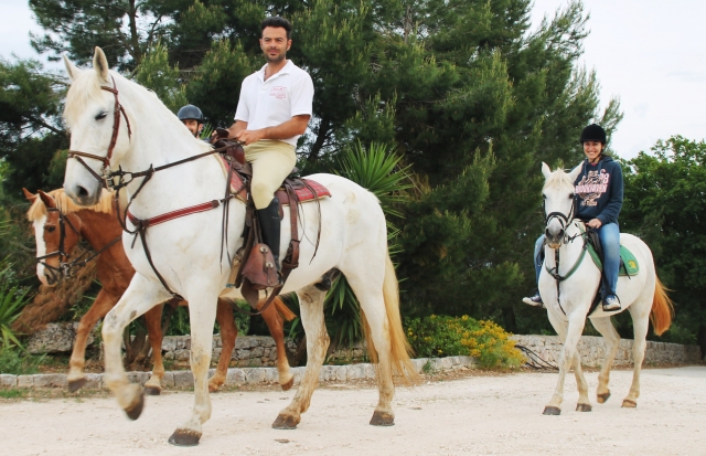  Nuestros caballos son hermosos y mansos 