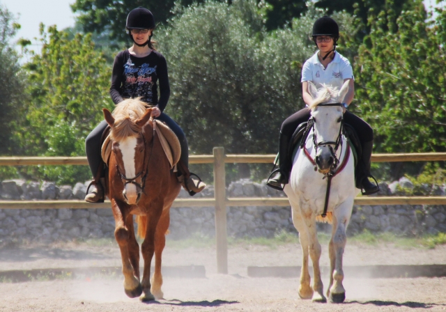 Lecciones: concentración y vitalidad 