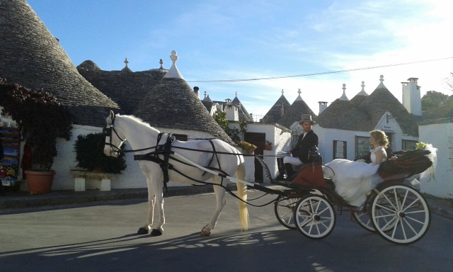  Renta de carruajes con conductor 