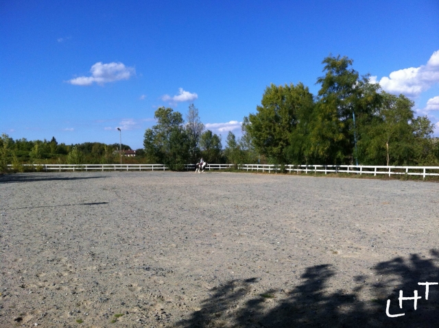  campo para caballos 