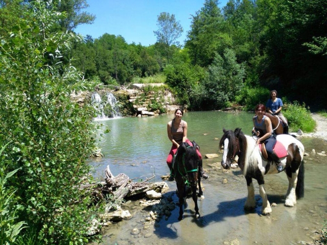  caballo y río 