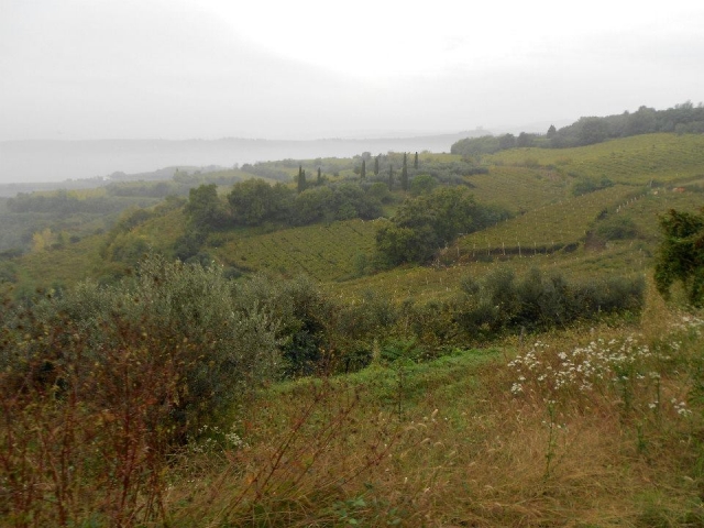  Excursiones al campo 
