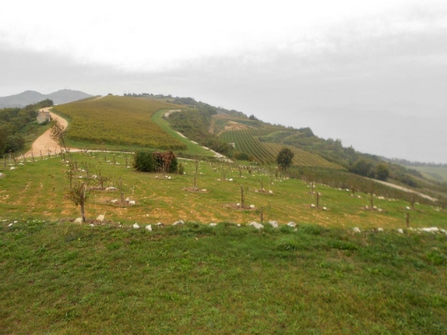 El espacio del rancho 