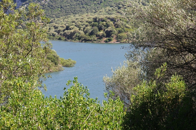  Lago Cedrino entre los árboles 