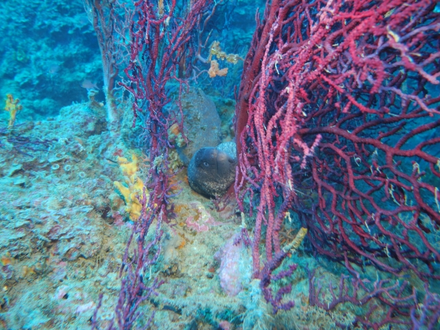  Venga a descubrir el mar de Calabria 
