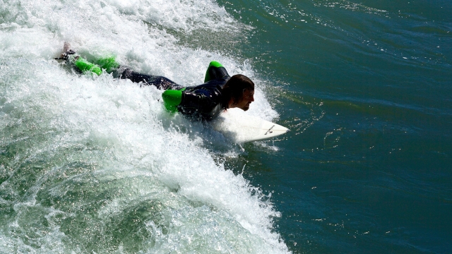  Surfeando