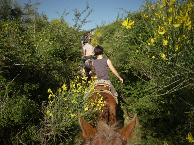  Pbaños a caballo en el campo 