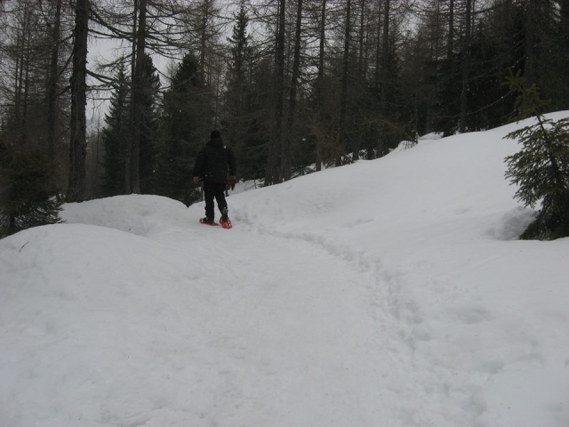  ¡Dejo mis huellas en la nieve! 